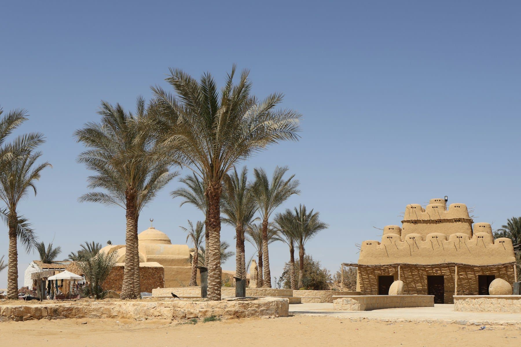 Domed houses and palms in Tunis village, Fayoum