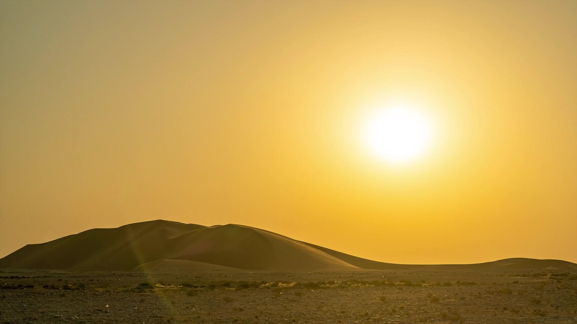 Chalk formations of the White Desert glowing at golden hour