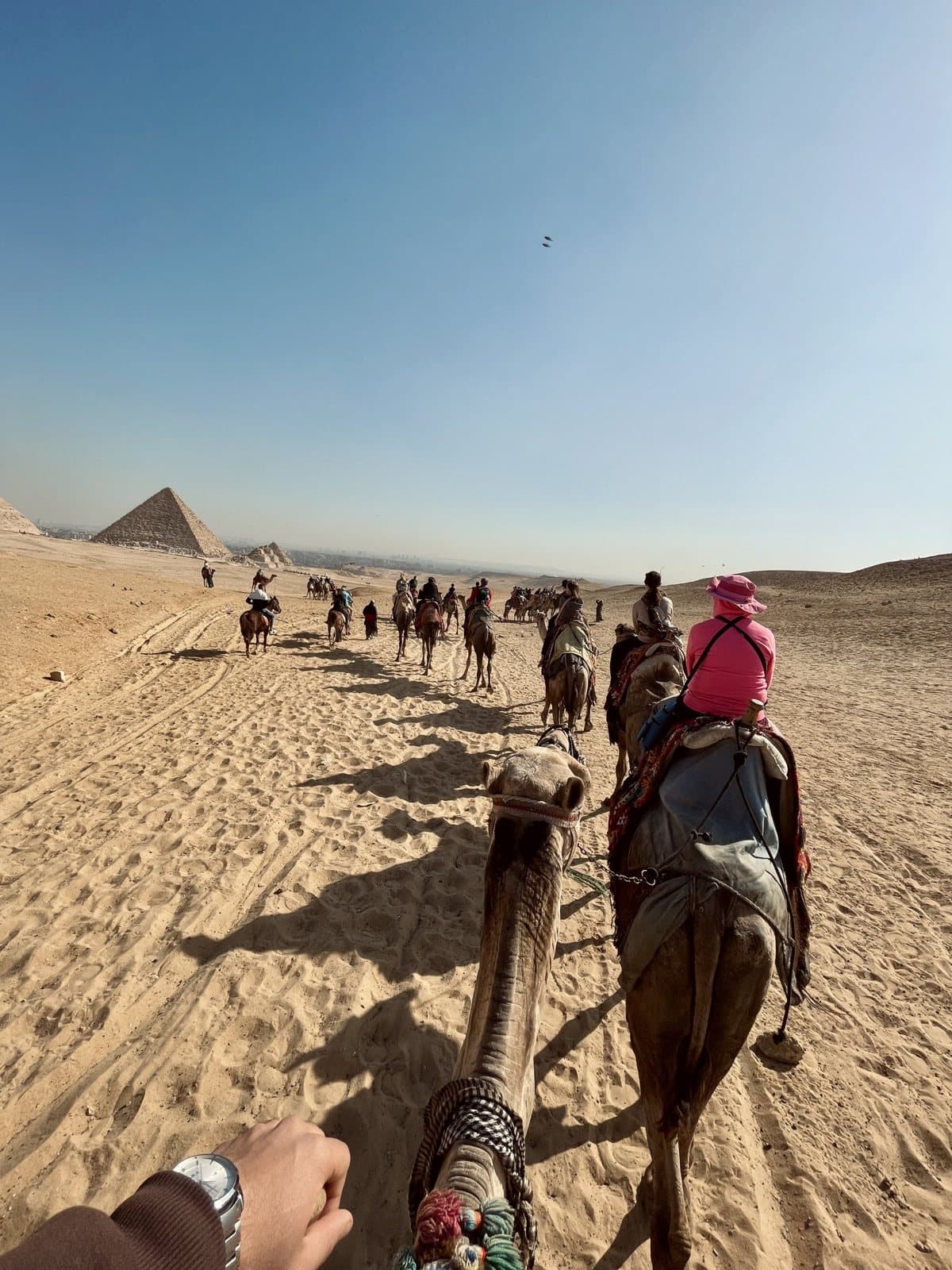 A camel caravan crossing the Giza desert towards the Pyramids