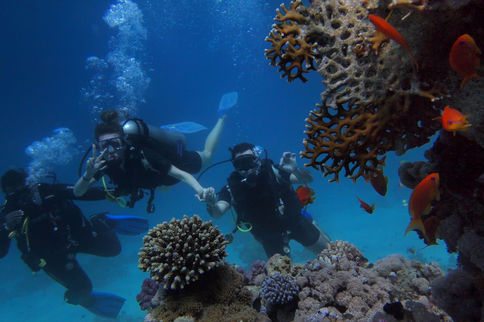 Divers exploring a colourful coral reef