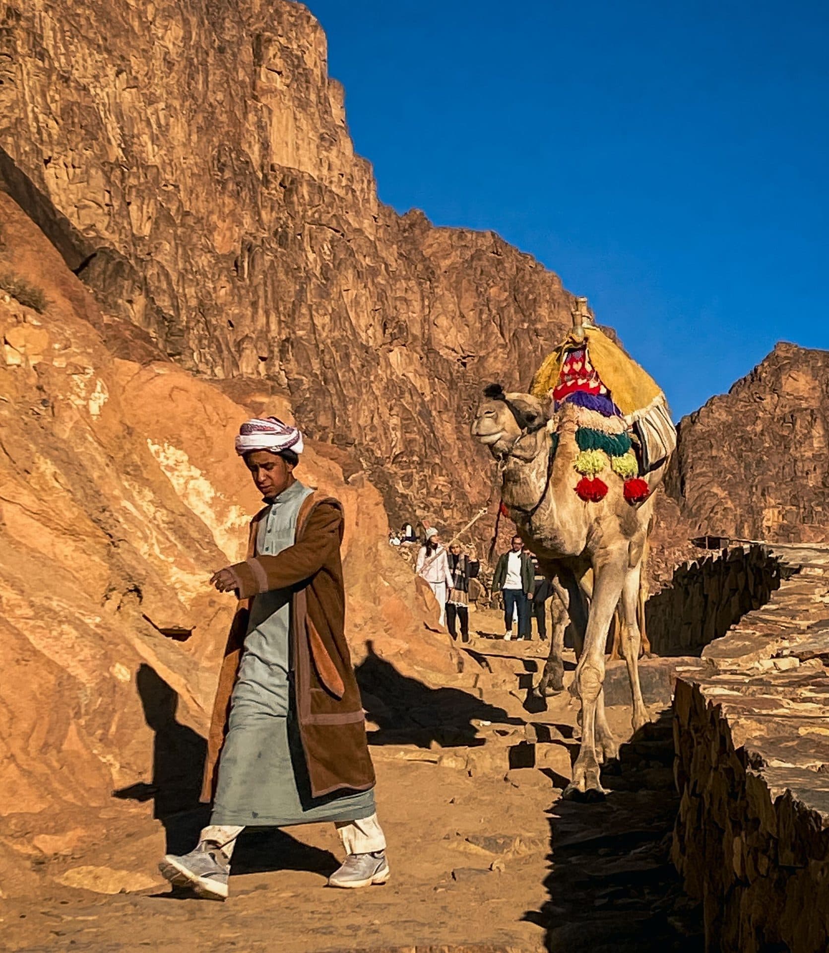 A Bedouin guide leading a decorated camel along a mountain trail in Sinai