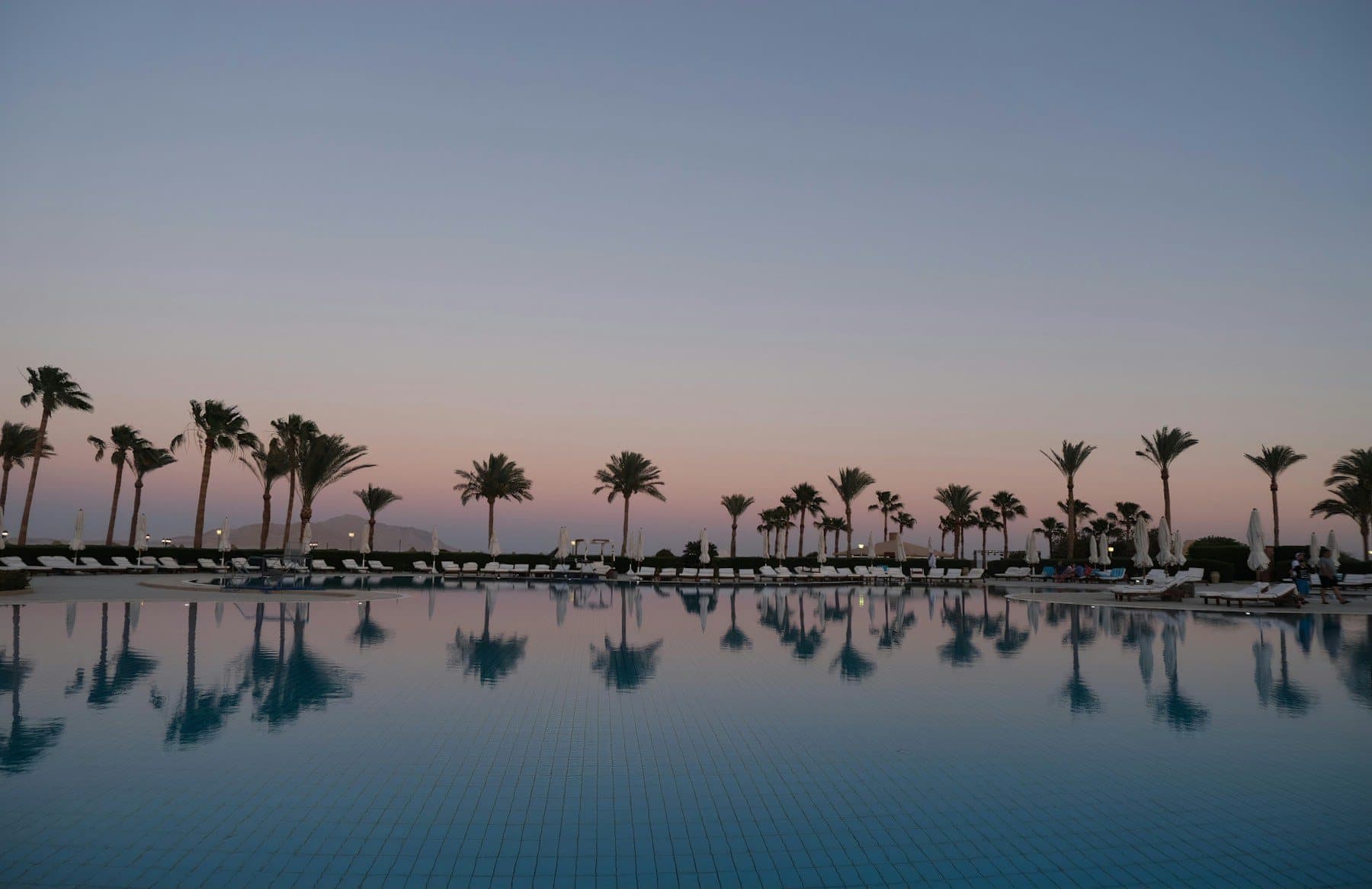Palm trees reflected in a still resort pool at dusk in Sharm El Sheikh