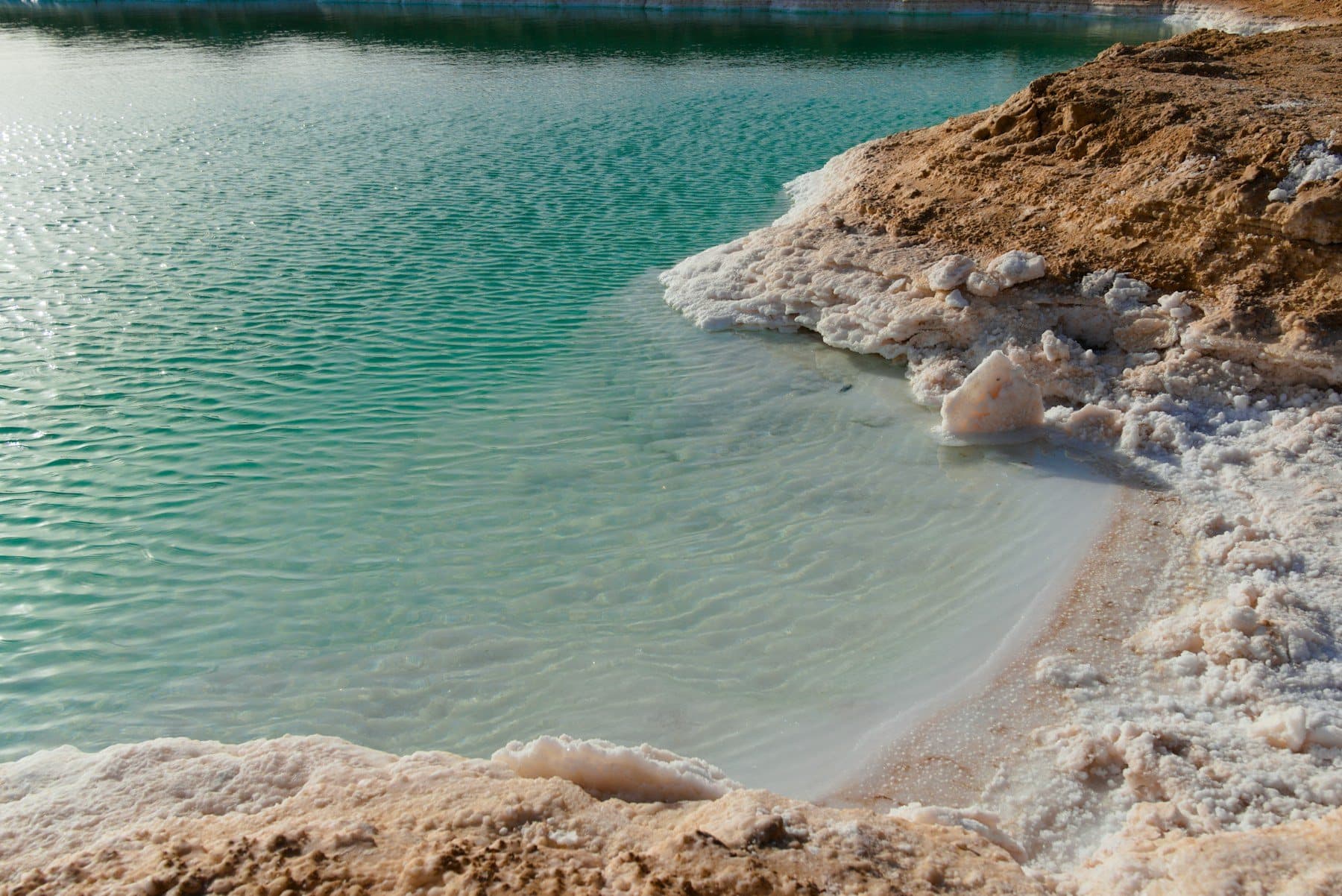 Turquoise salt lake water meeting salt-encrusted shores in Siwa